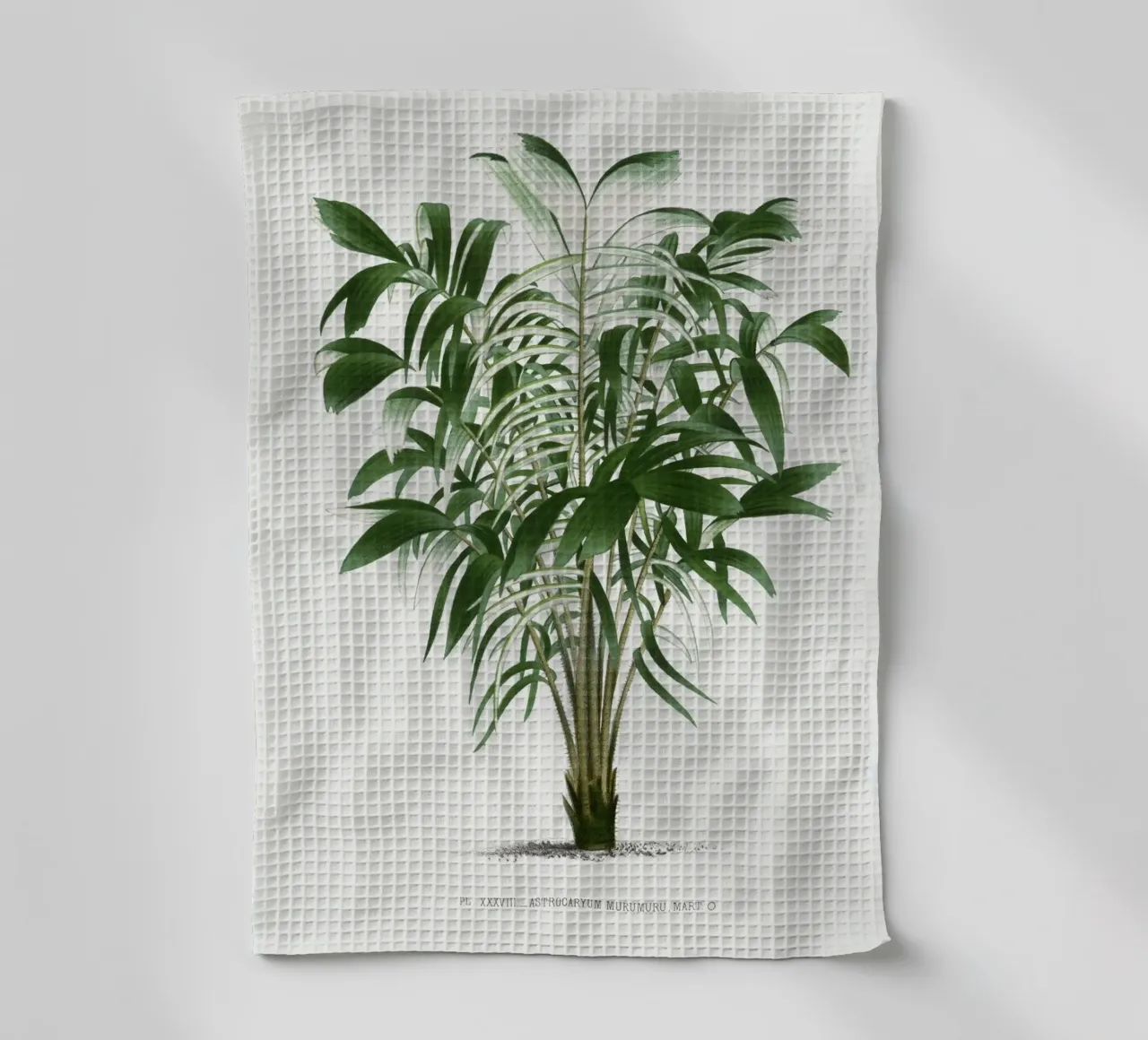 tree illustration canovaccio da cucina da vintageshop
