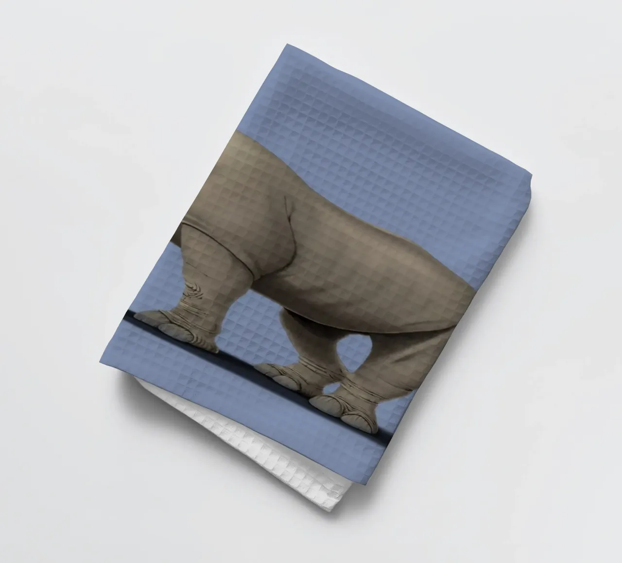 Cork it, Dürer! (Coloured) torchon de Rob Art | Illustration