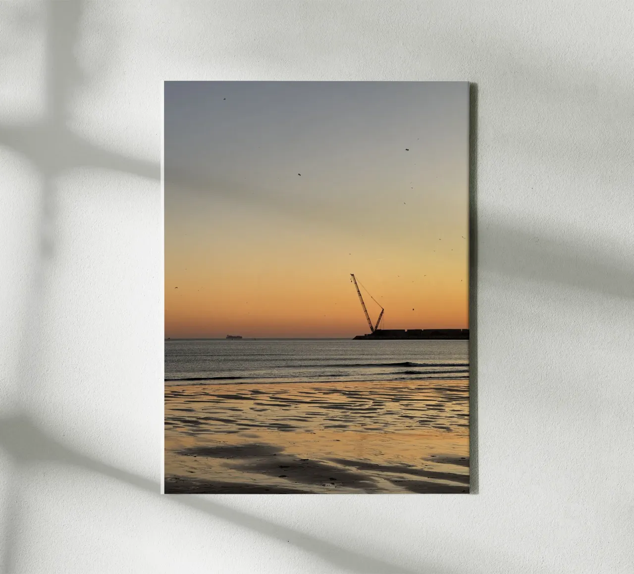 Birds in Flight and Distant Crane during sunset at Praia de canvas with Floater frame by byrieneke