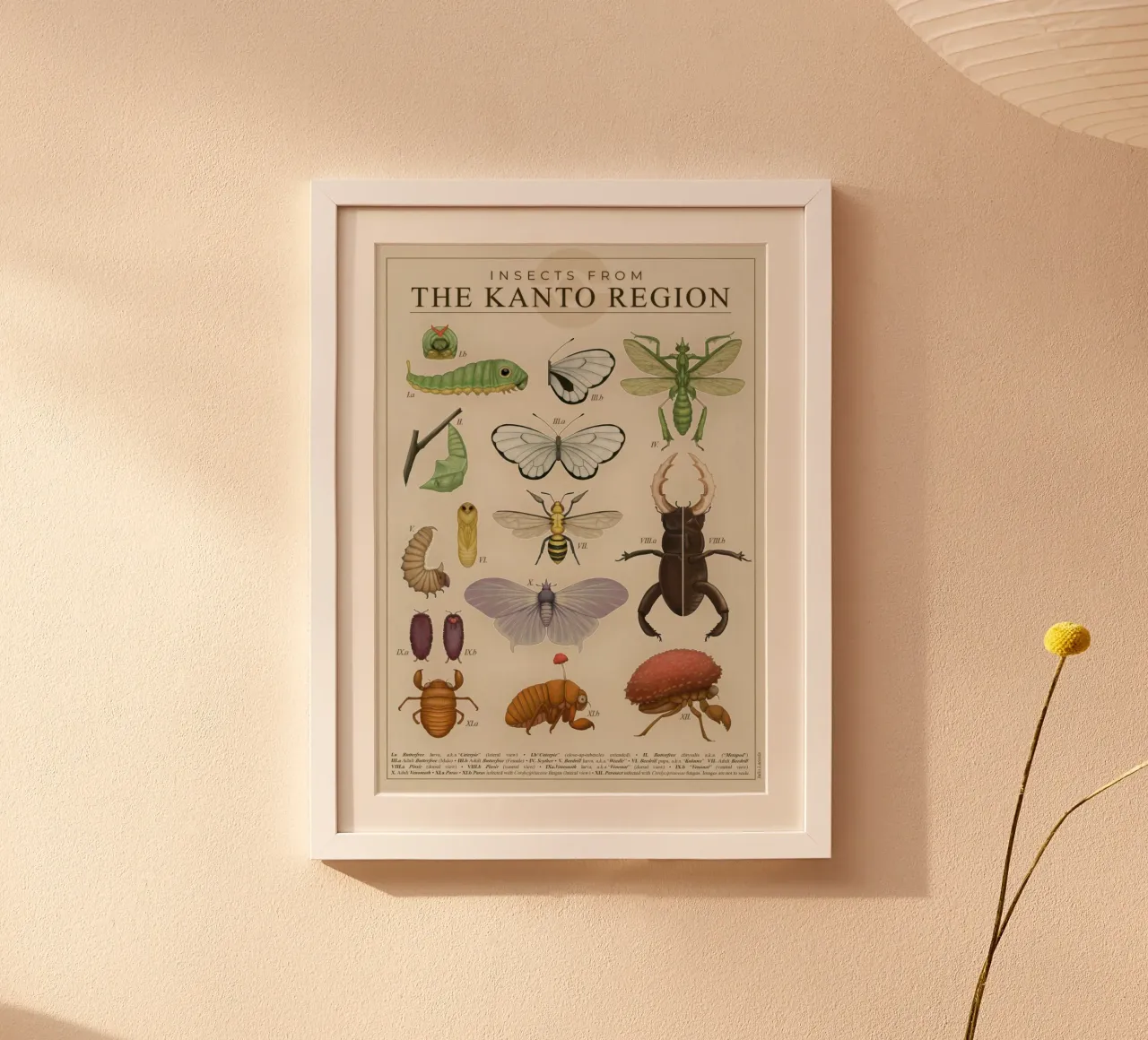 Insetti della regione del Kanto poster da Lacerdaprint