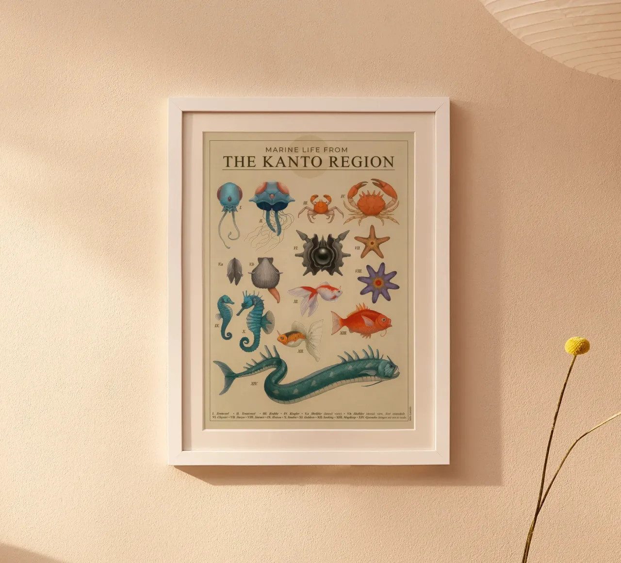 Poster sulla vita marina del Kanto poster da Lacerdaprint