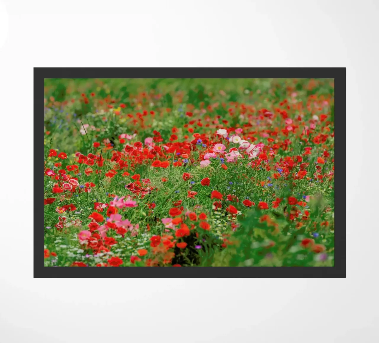Mixed Poppy Landscape zerbino da Curious Collections by Marielle Leenders