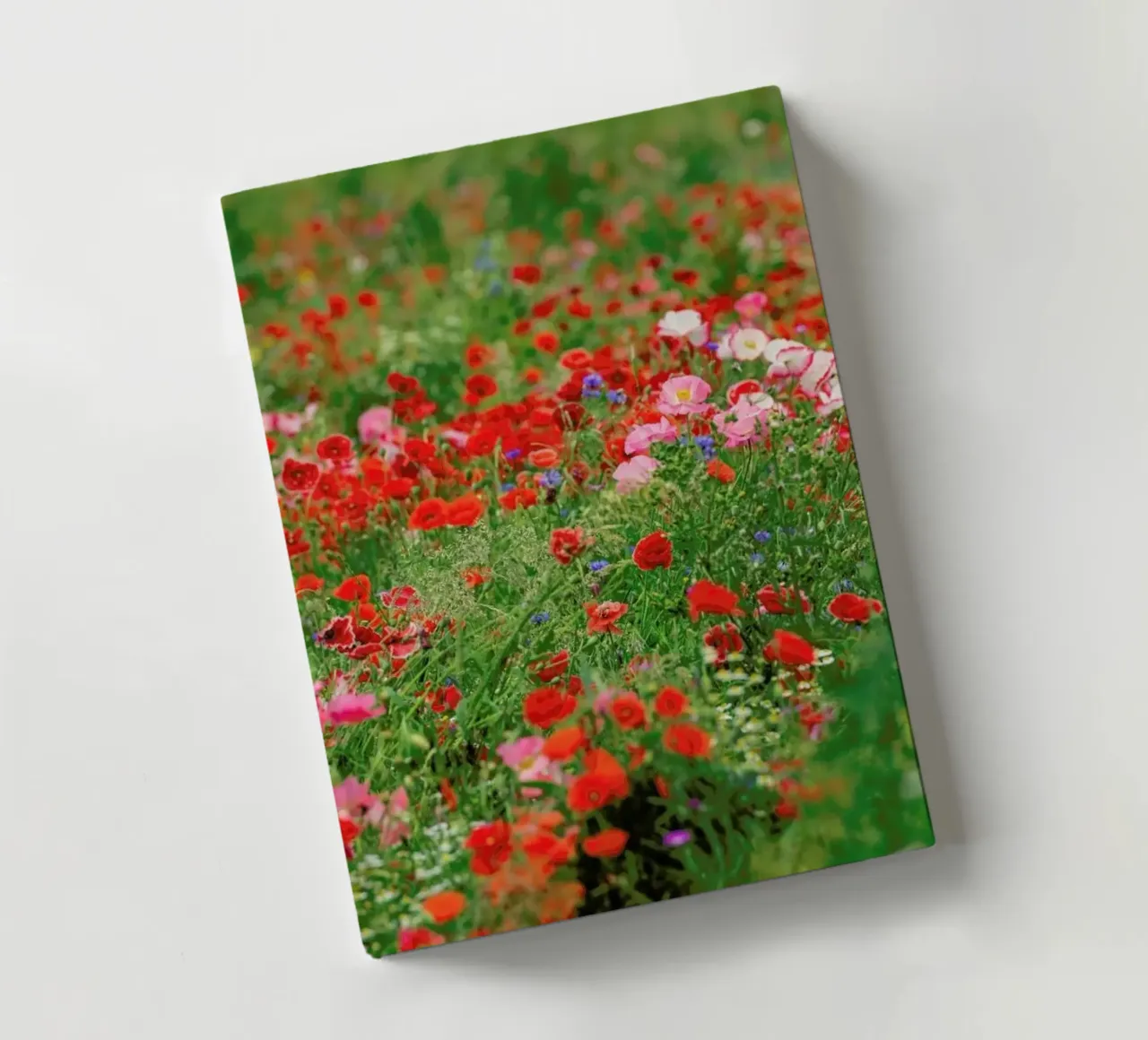 Mixed Poppy Landscape notebook by Curious Collections by Marielle Leenders