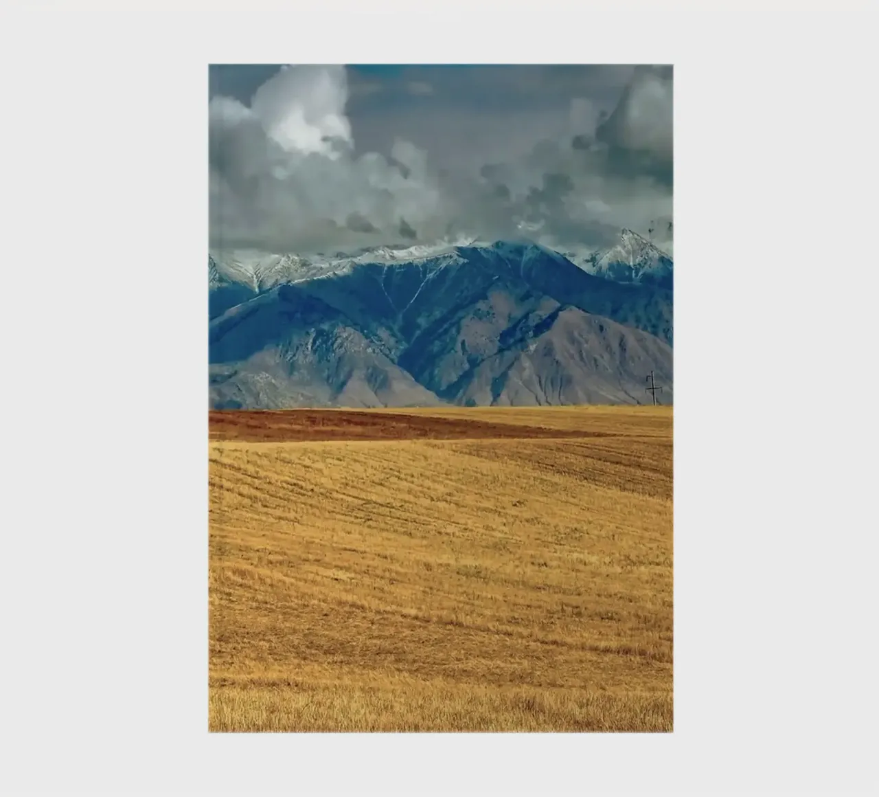 rider on field notebook by Horsire