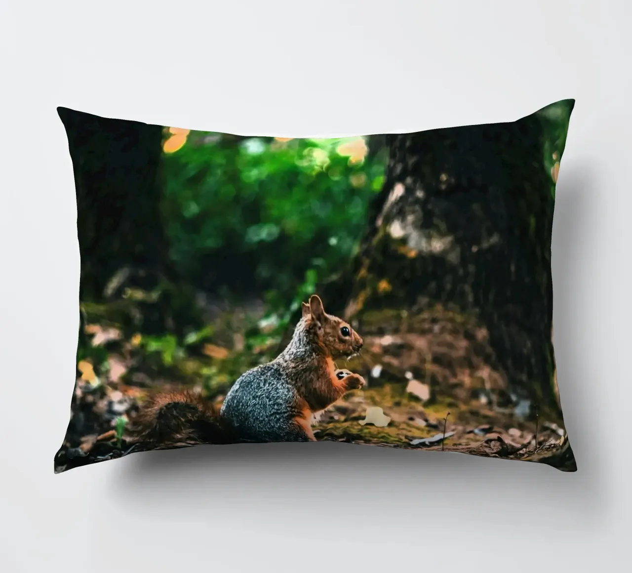 coda di scoiattolo della foresta cuscino da animal story home