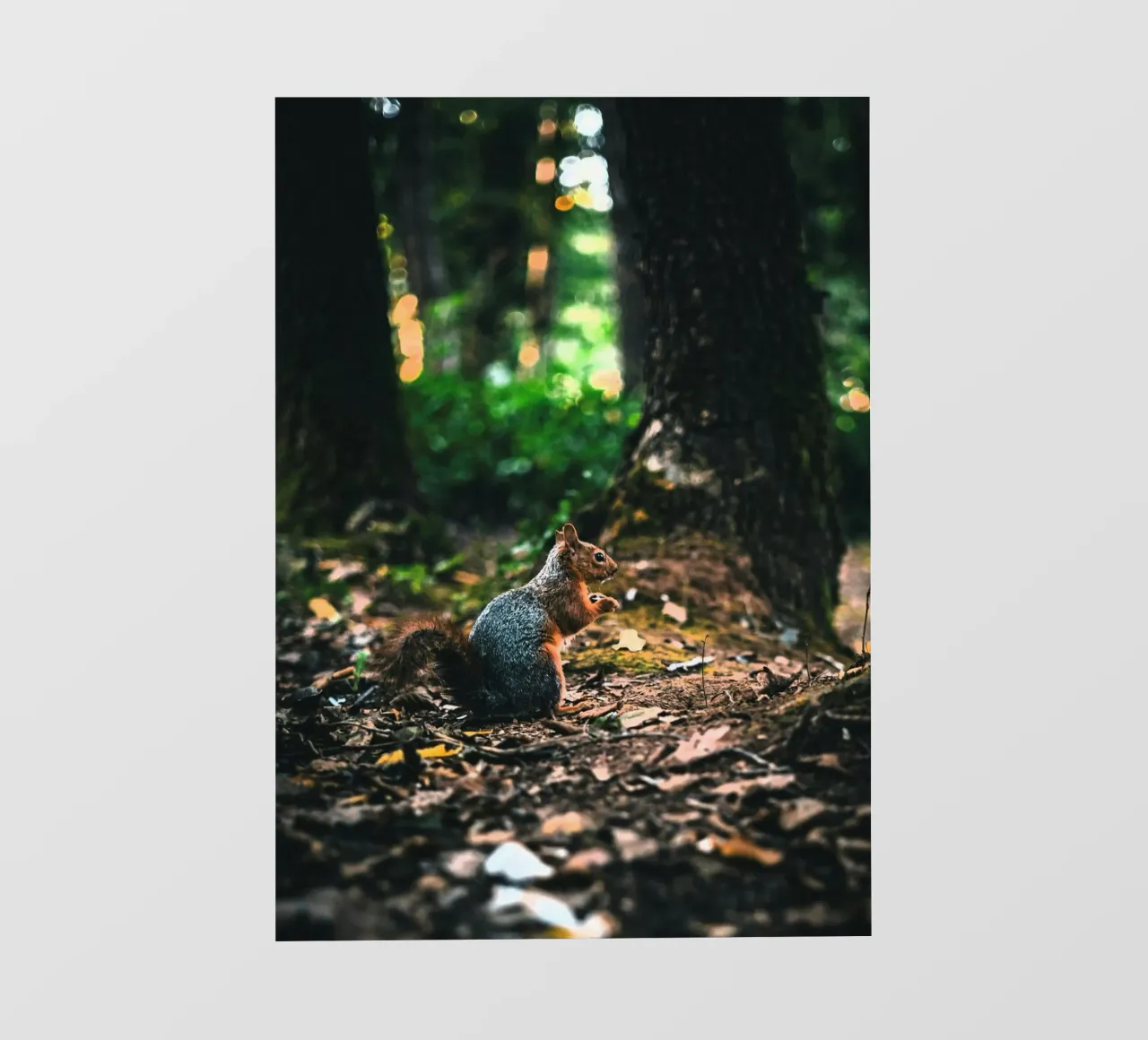 coda di scoiattolo della foresta telo in pvc da animal story home