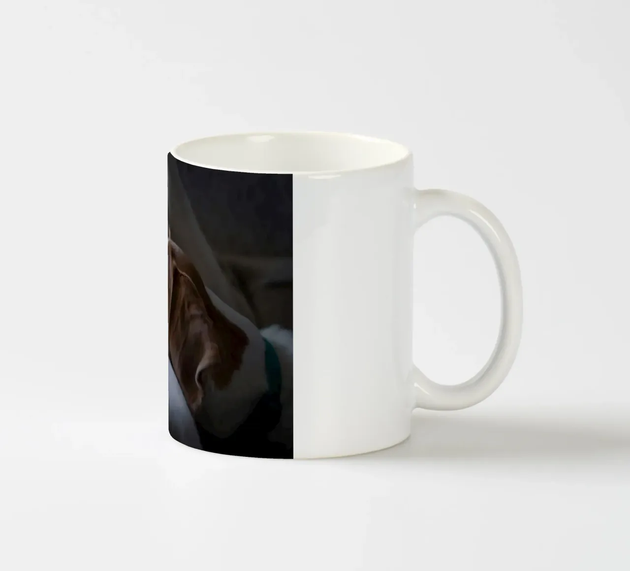 collare per cani vigile tazza in ceramica da animal story home