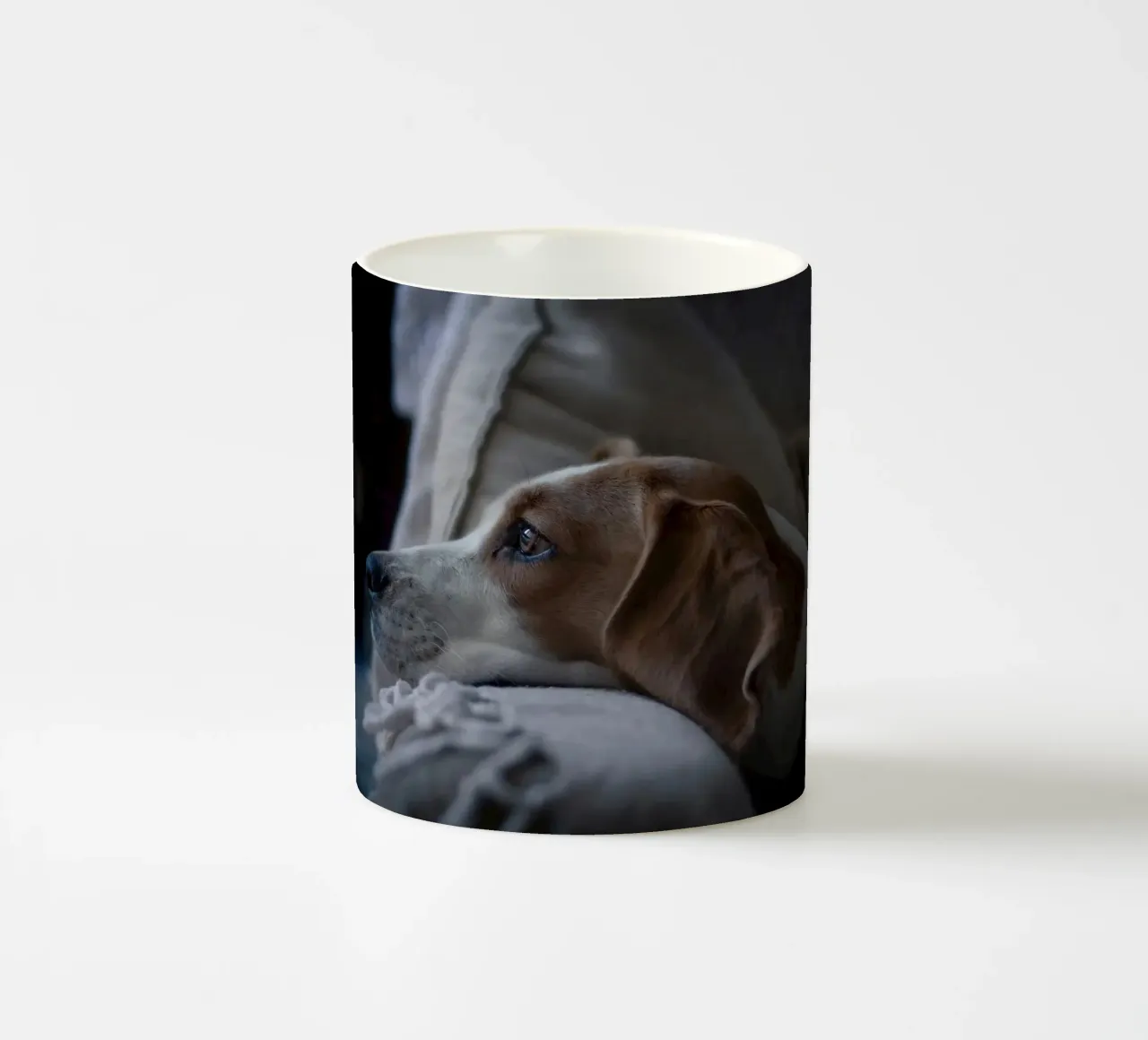 collare per cani vigile tazza in ceramica da animal story home