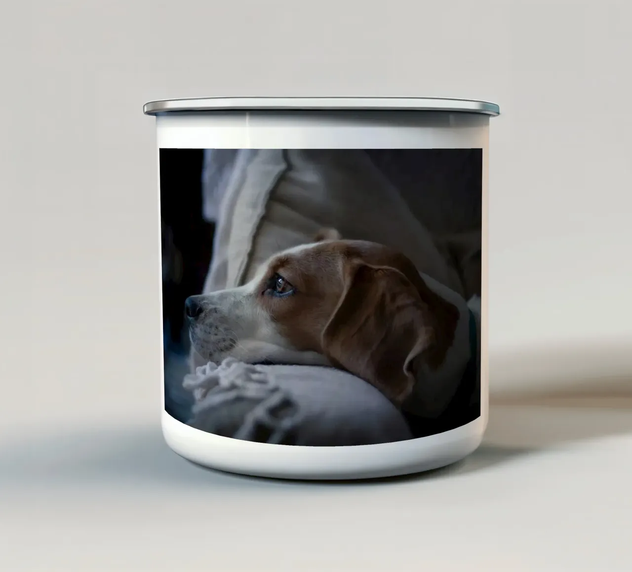 collare per cani vigile tazza in smalto da animal story home