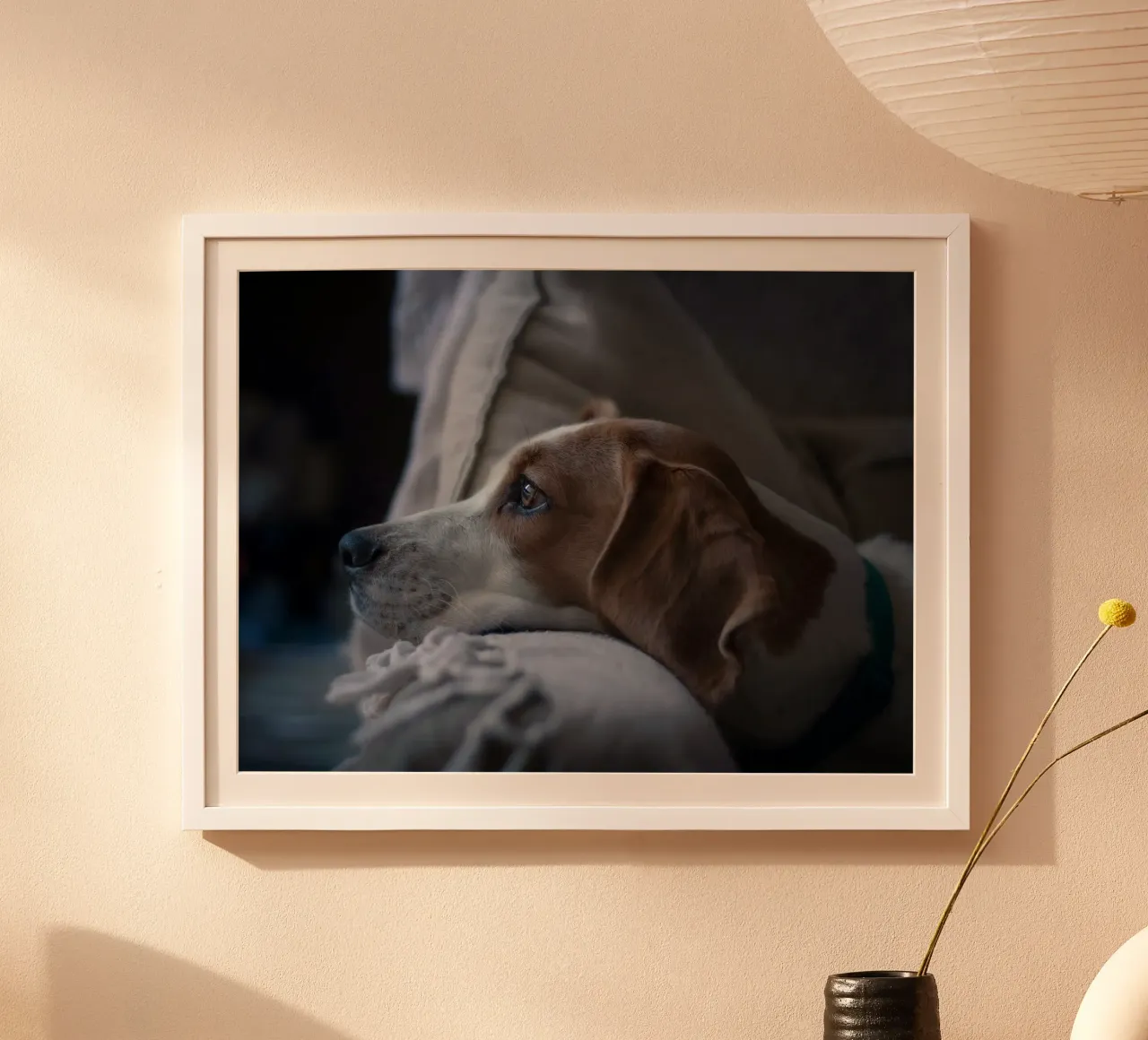 watchful dog collar poster with plastic frame by animal story home