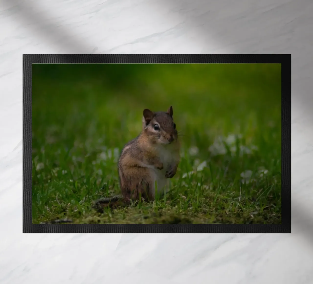 piccolo animale peloso zerbino da animal story home
