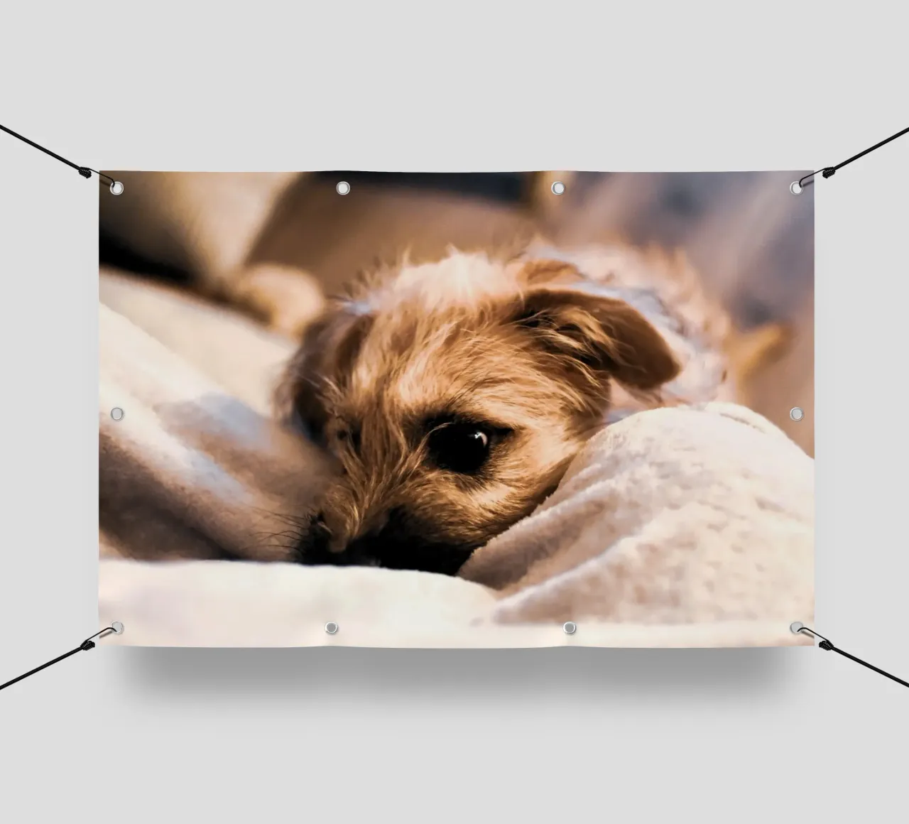 accogliente e coccoloso telo in pvc da animal story home