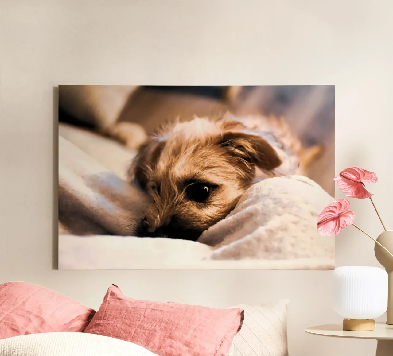 knus en gezellig canvas met Baklijst van animal story home