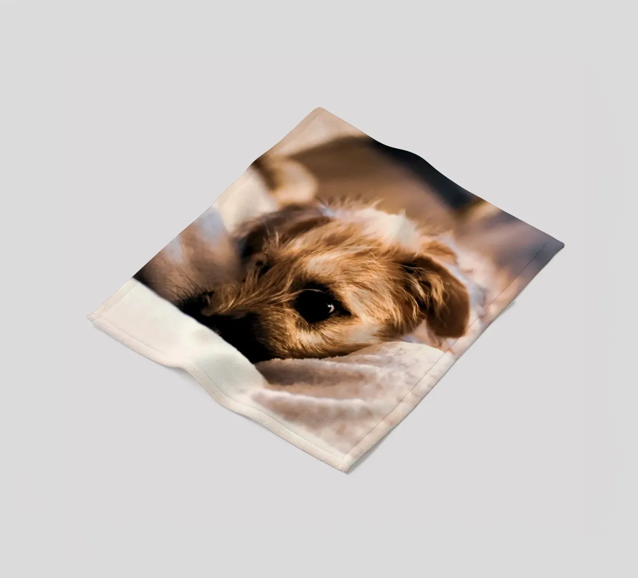 accogliente e coccoloso coperta in pile da animal story home