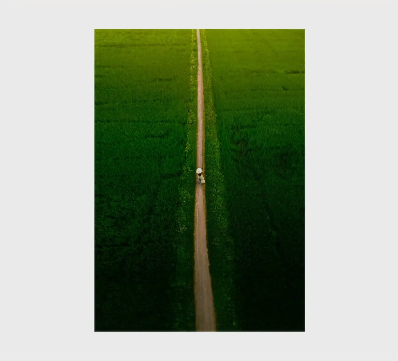aerial view landscape notebook by animal story home