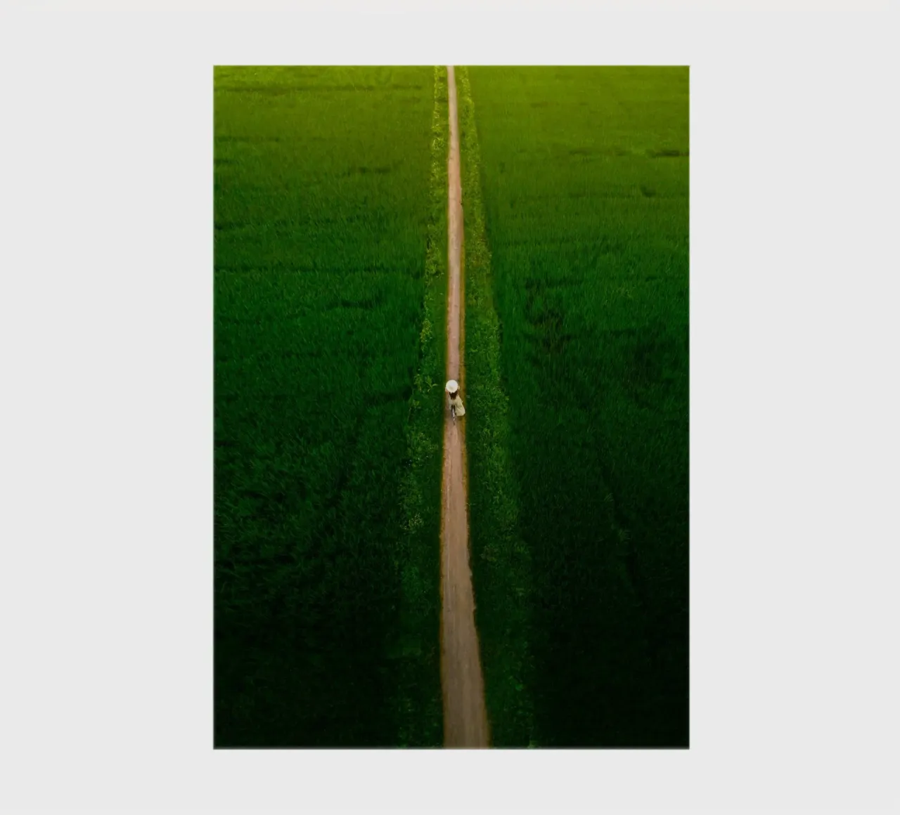 aerial view landscape notebook by animal story home