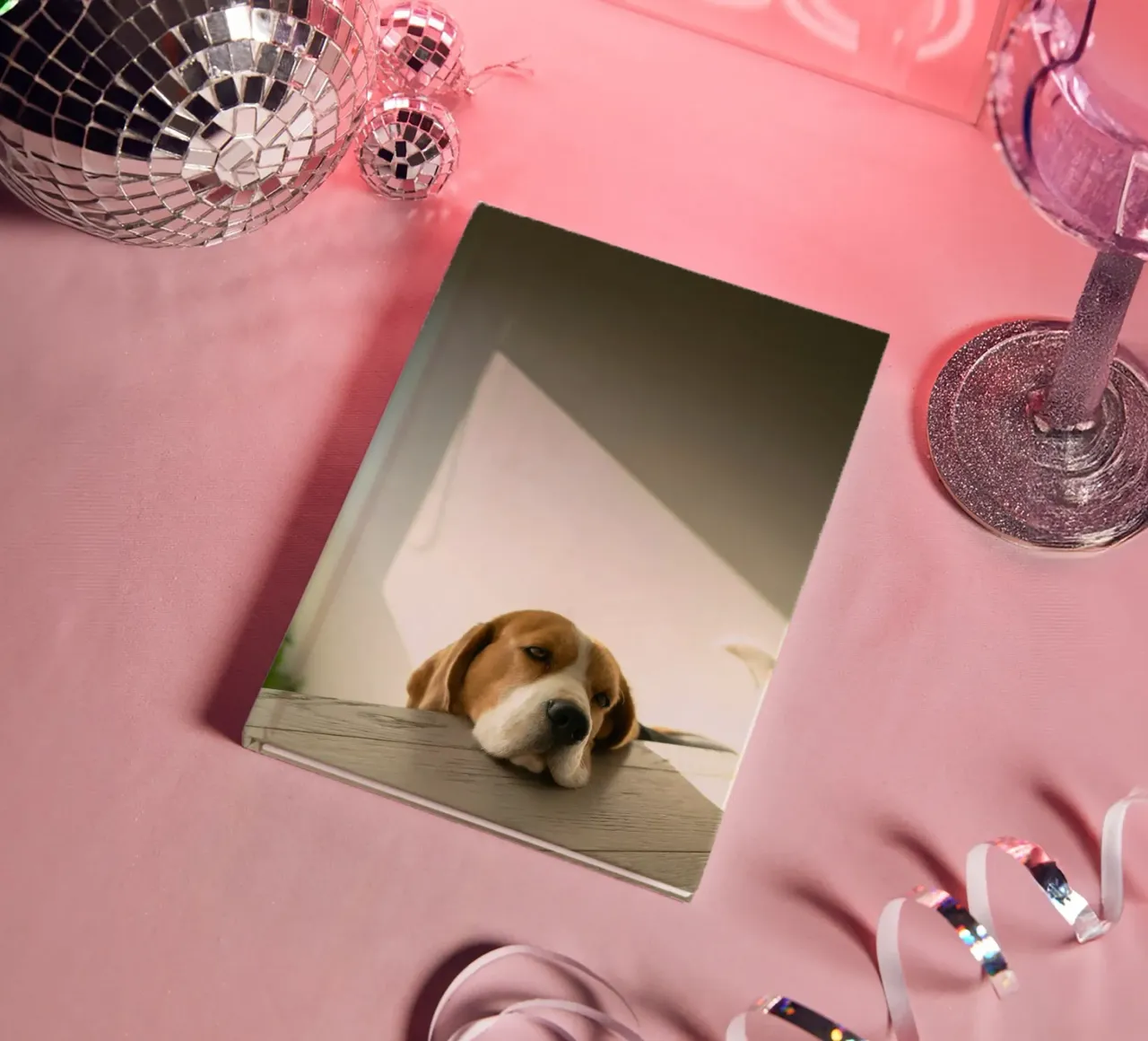beagle window sunlight notebook by animal story home