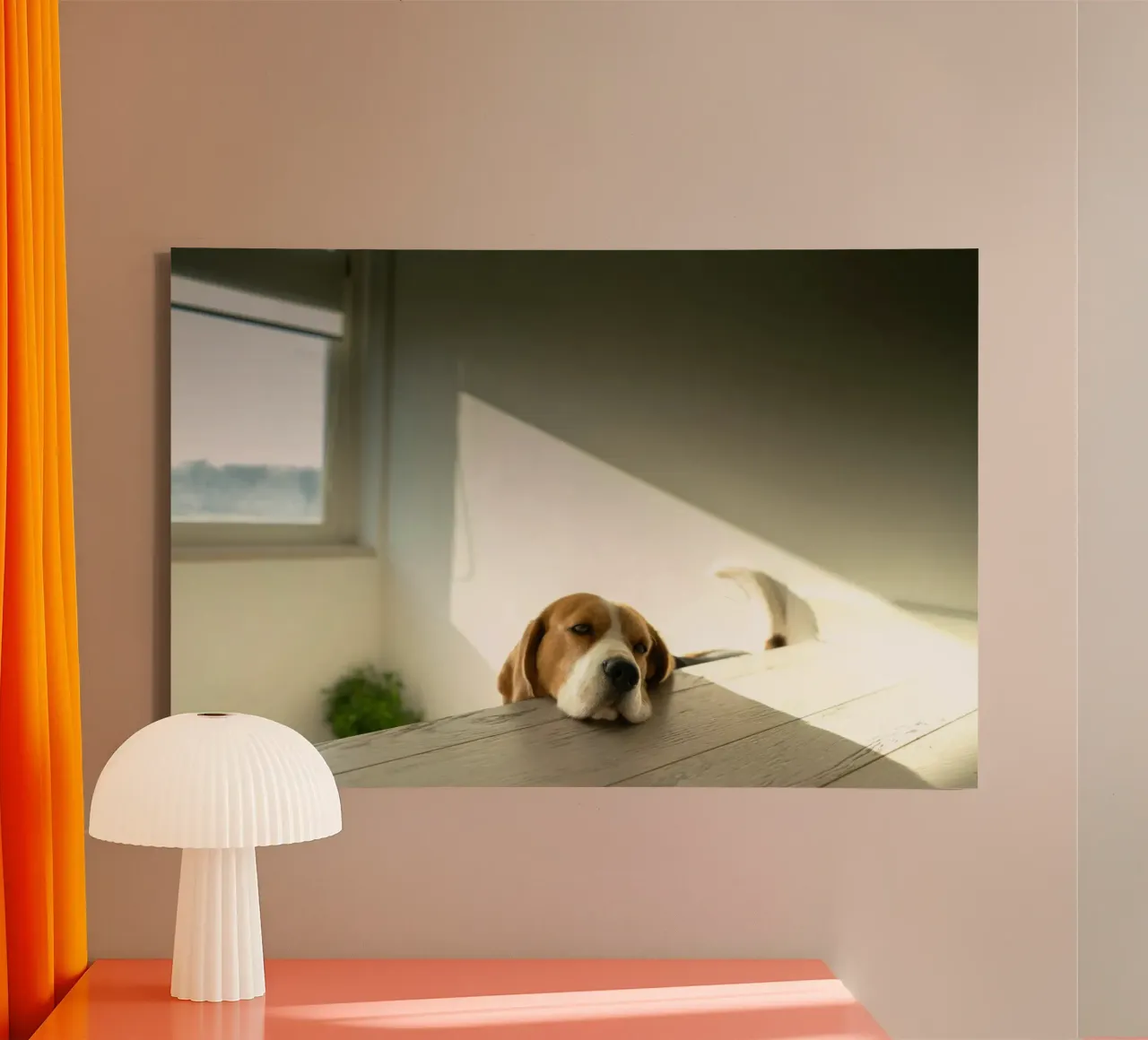 beagle window sunlight canvas by animal story home