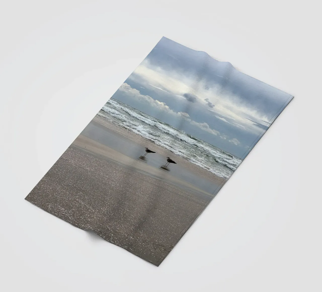 Cielo tempestoso e gabbiani di terra sulla spiaggia di Matosinhos a Porto coperta in pile da byrieneke