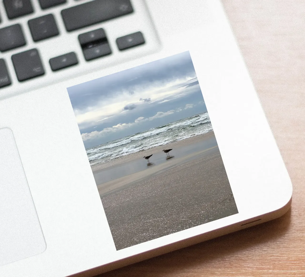 Stormy Skies and Shoreline Gulls at Matosinhos Beach in Port sticker by byrieneke