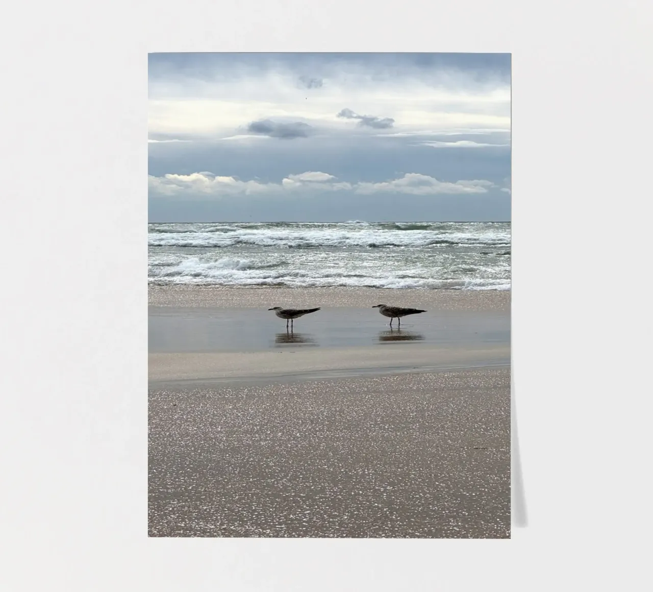 Stormy Skies and Shoreline Gulls at Matosinhos Beach in Port sticker sheet by byrieneke