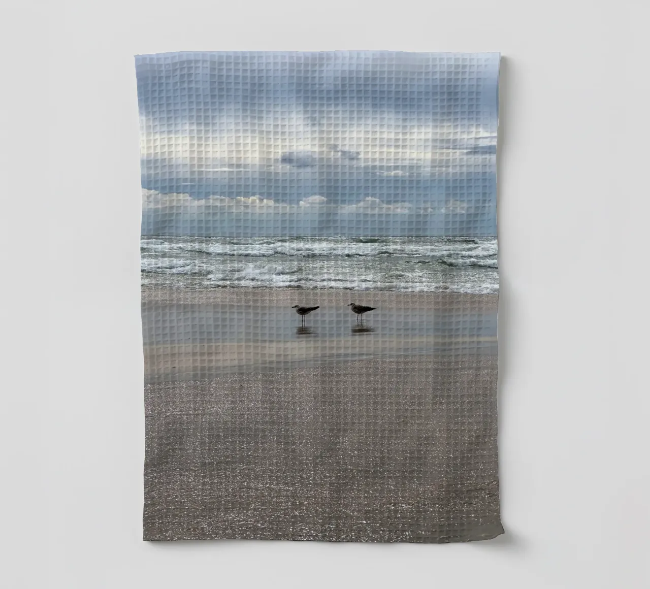 Cielo tempestoso e gabbiani di terra sulla spiaggia di Matosinhos a Porto canovaccio da cucina da byrieneke
