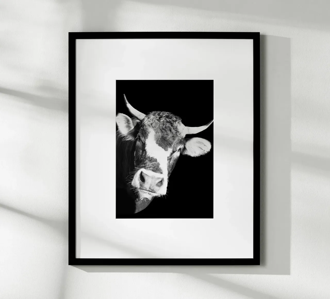 Dark Cow Vibes carta hahnemühle da DigiWunderwerk