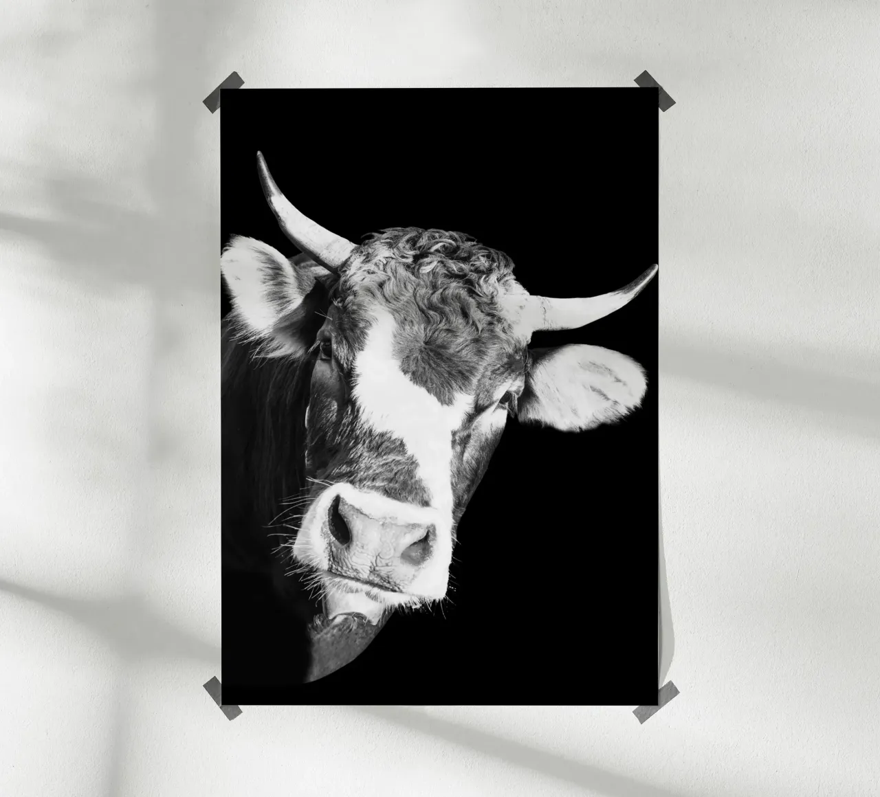 Dark Cow Vibes carta hahnemühle da DigiWunderwerk