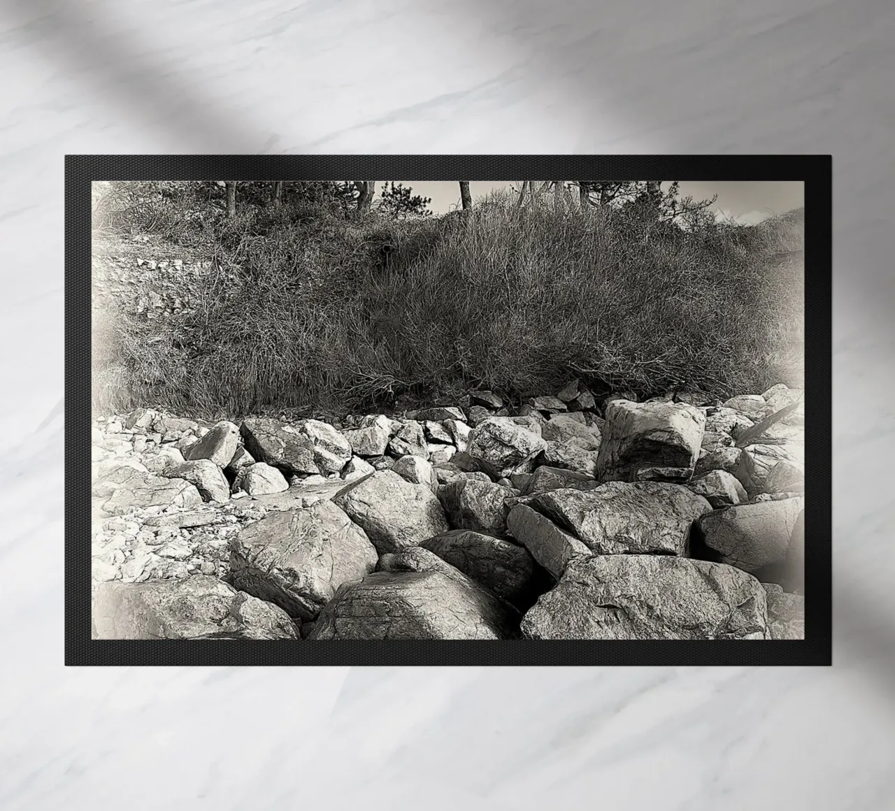 BW 70 zerbino da Thierry vobmann photography