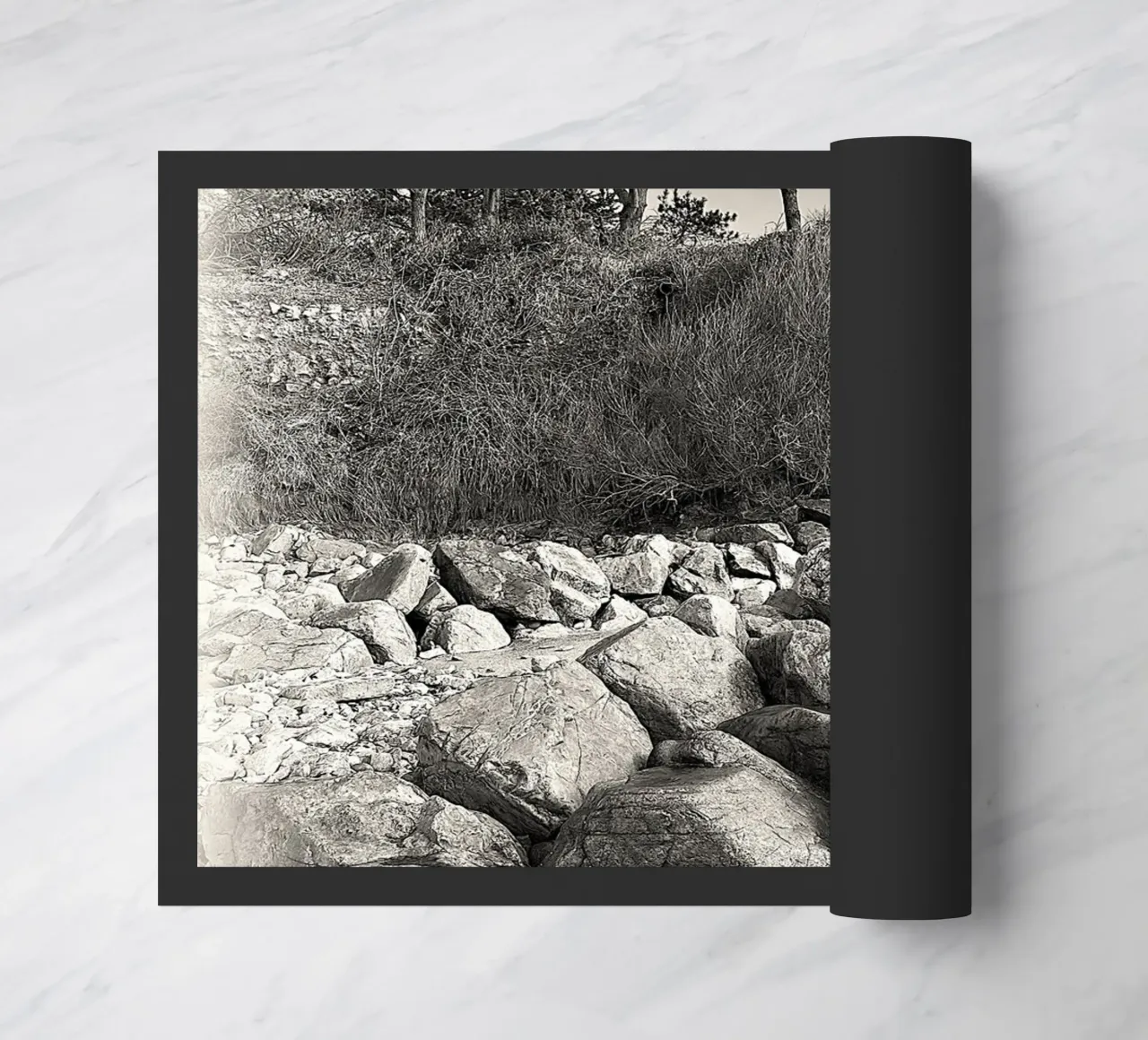 BW 70 zerbino da Thierry vobmann photography