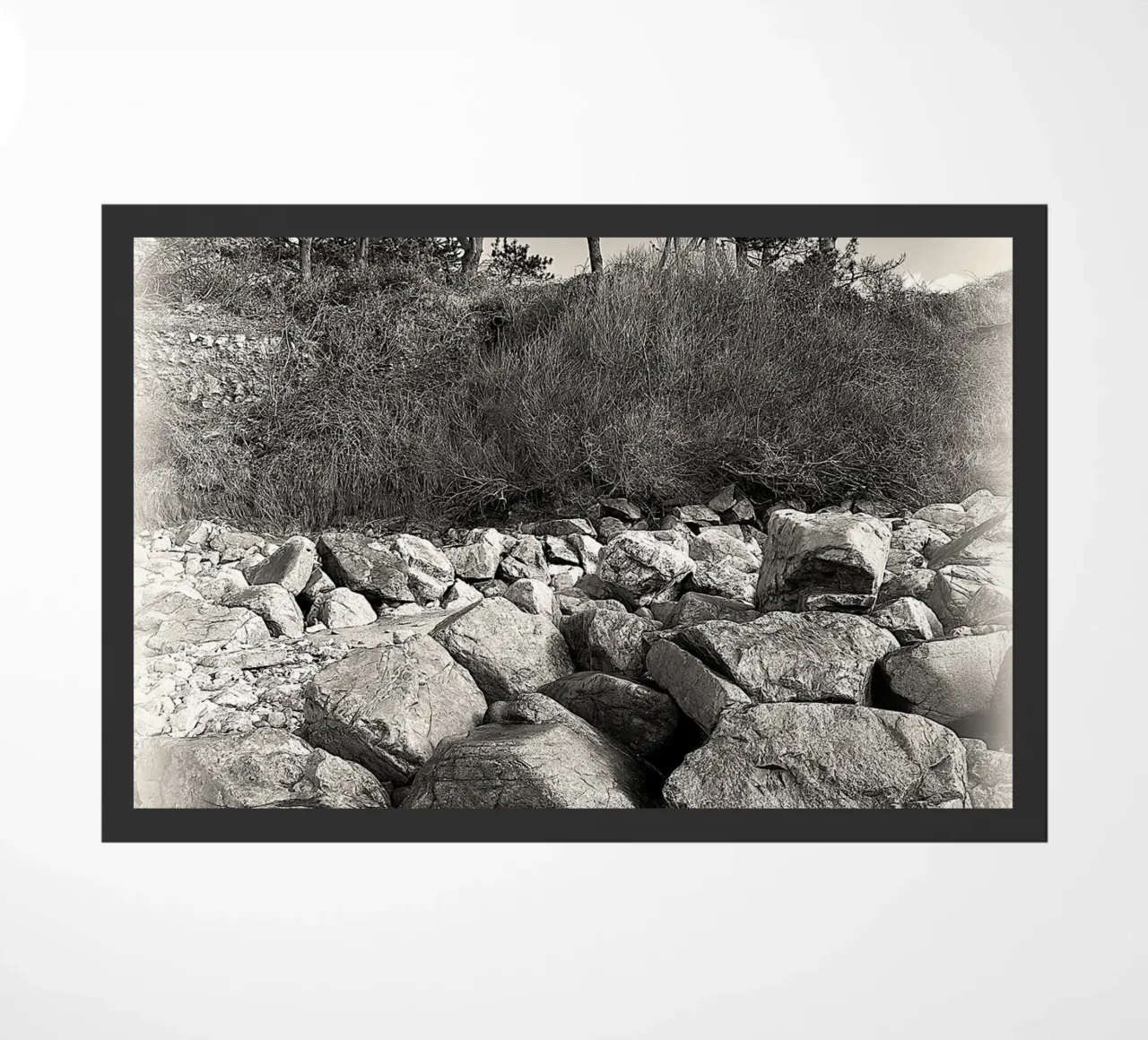 BW 70 zerbino da Thierry vobmann photography