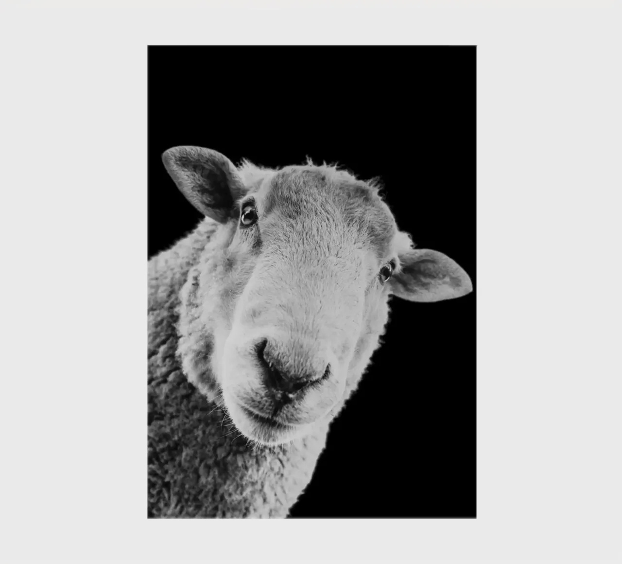 Määäh. Punkt. notebook by DigiWunderwerk