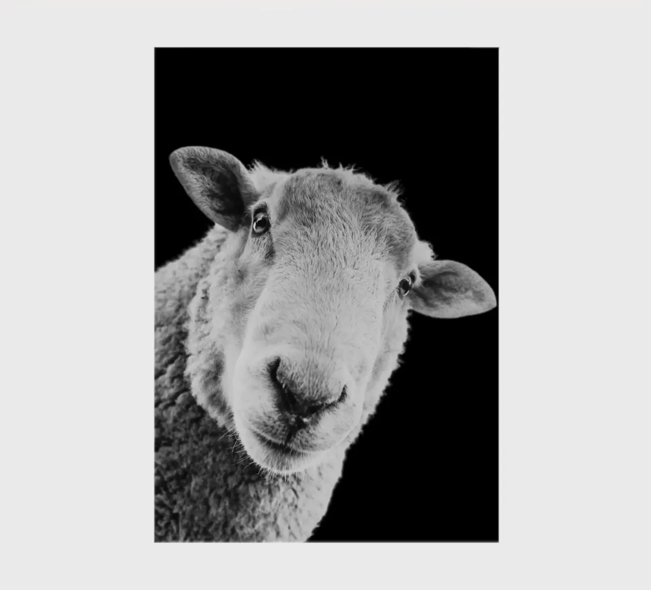 Määäh. Punkt. notebook by DigiWunderwerk