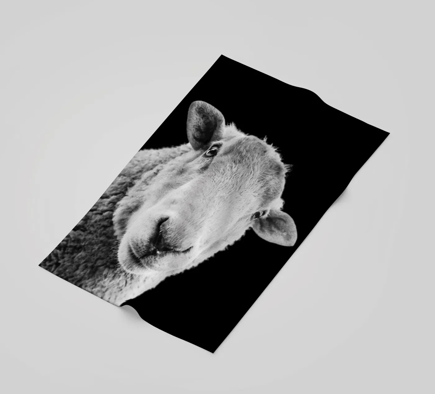 Määäh. Punkt. telo mare da DigiWunderwerk