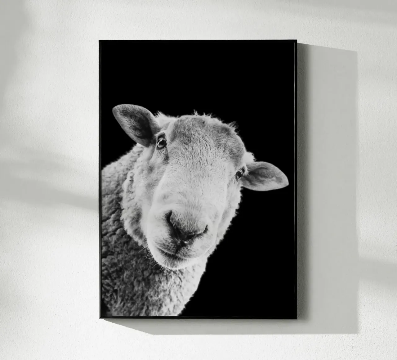 Määäh. Punkt. plexiglass da DigiWunderwerk