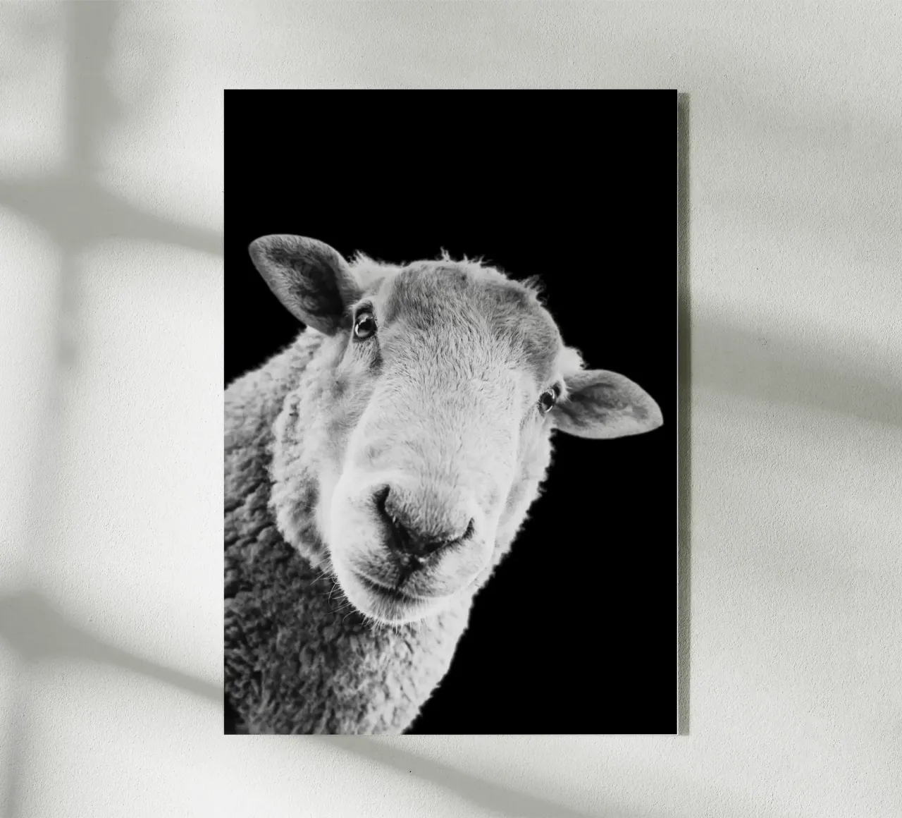 Määäh. Punkt. plexiglass da DigiWunderwerk