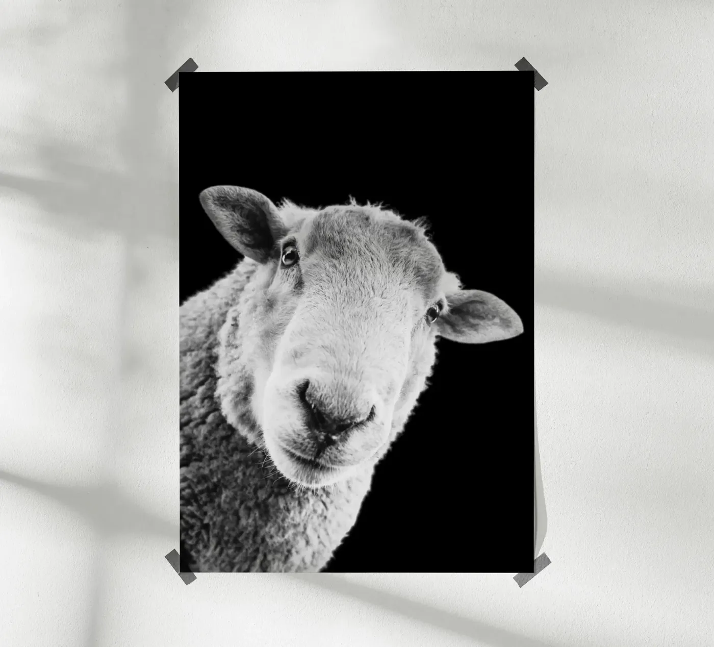 Määäh. Punkt. poster da DigiWunderwerk