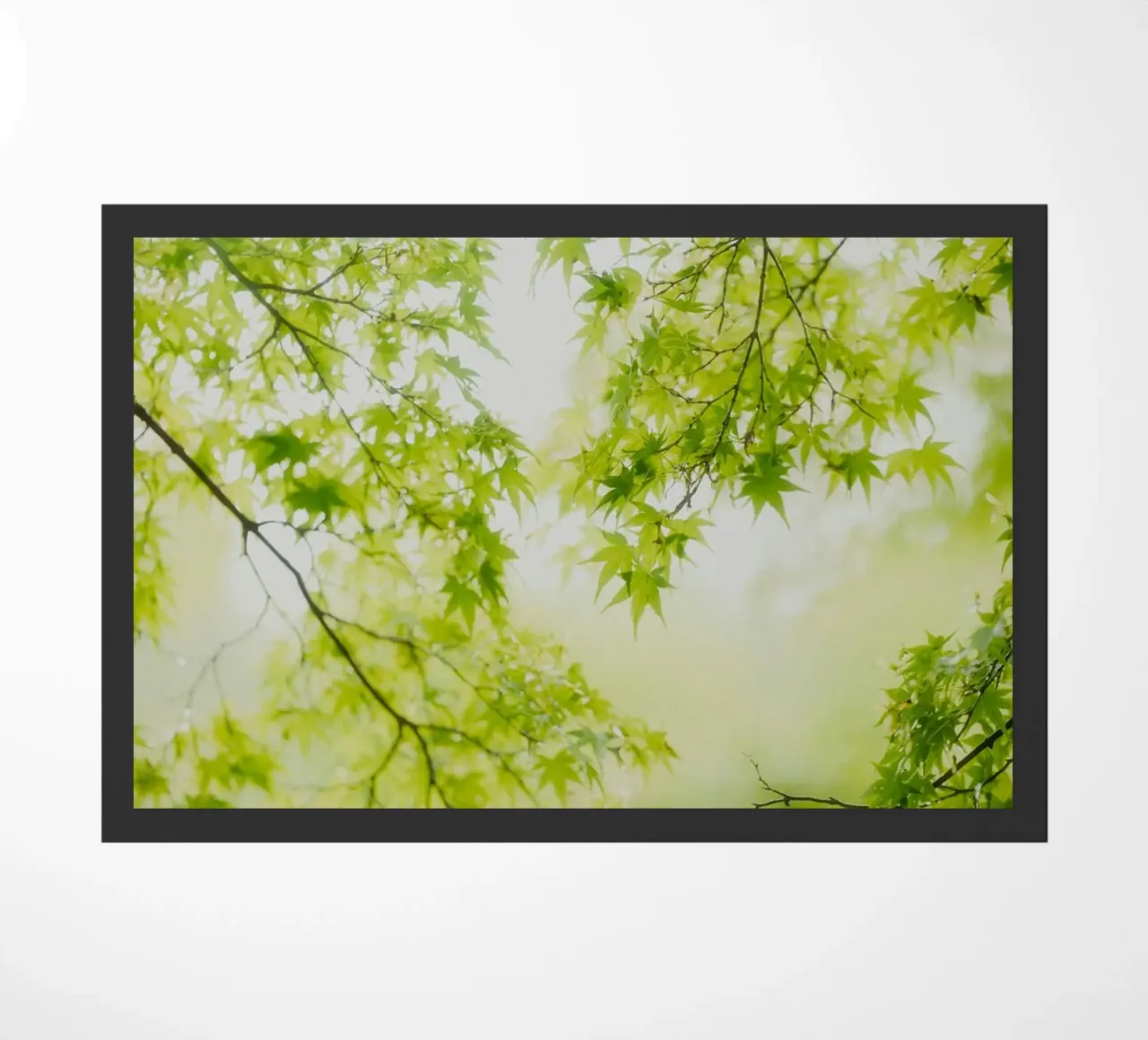 foglie verdi rami zerbino da Earthly Visions