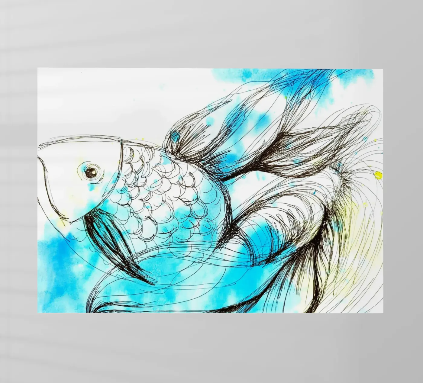 Fisch pellicola backlit da sum2proveDesign