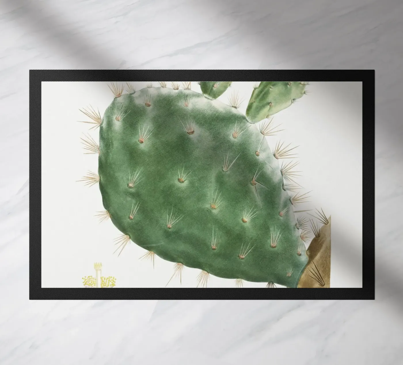 Cactus Cochenillifer deurmat van vintageshop
