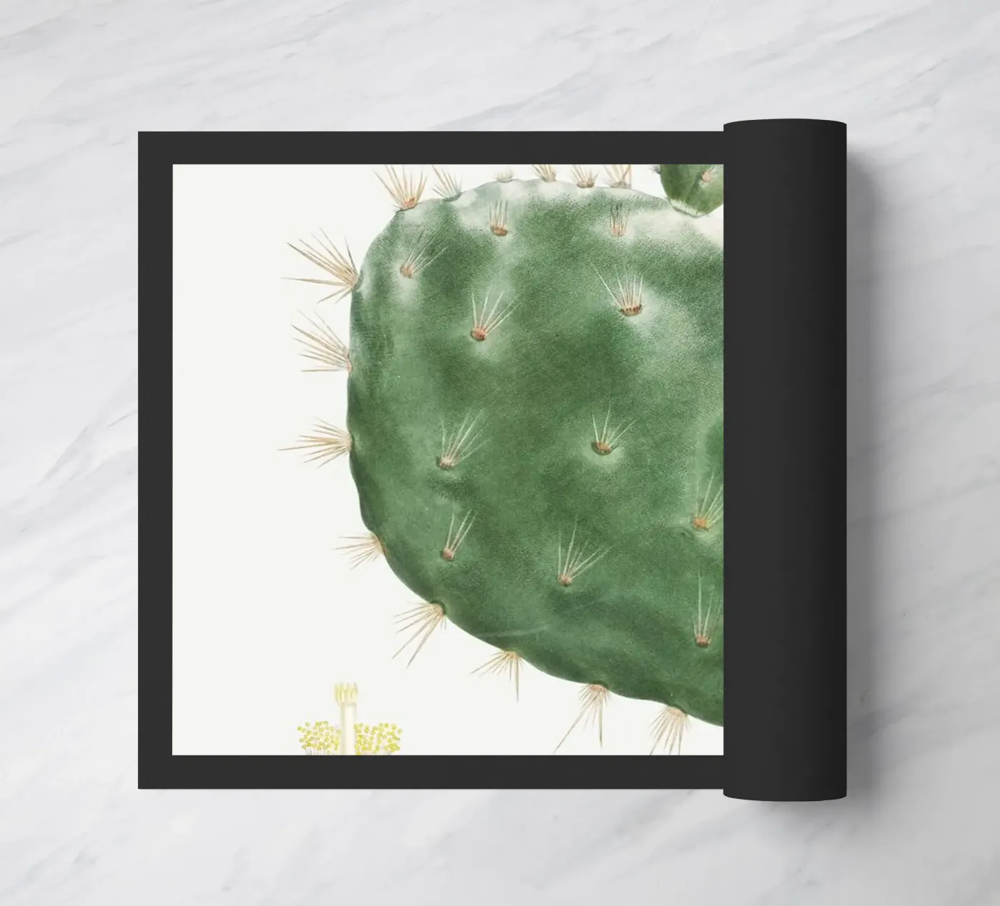 Cactus Cochenillifer deurmat van vintageshop