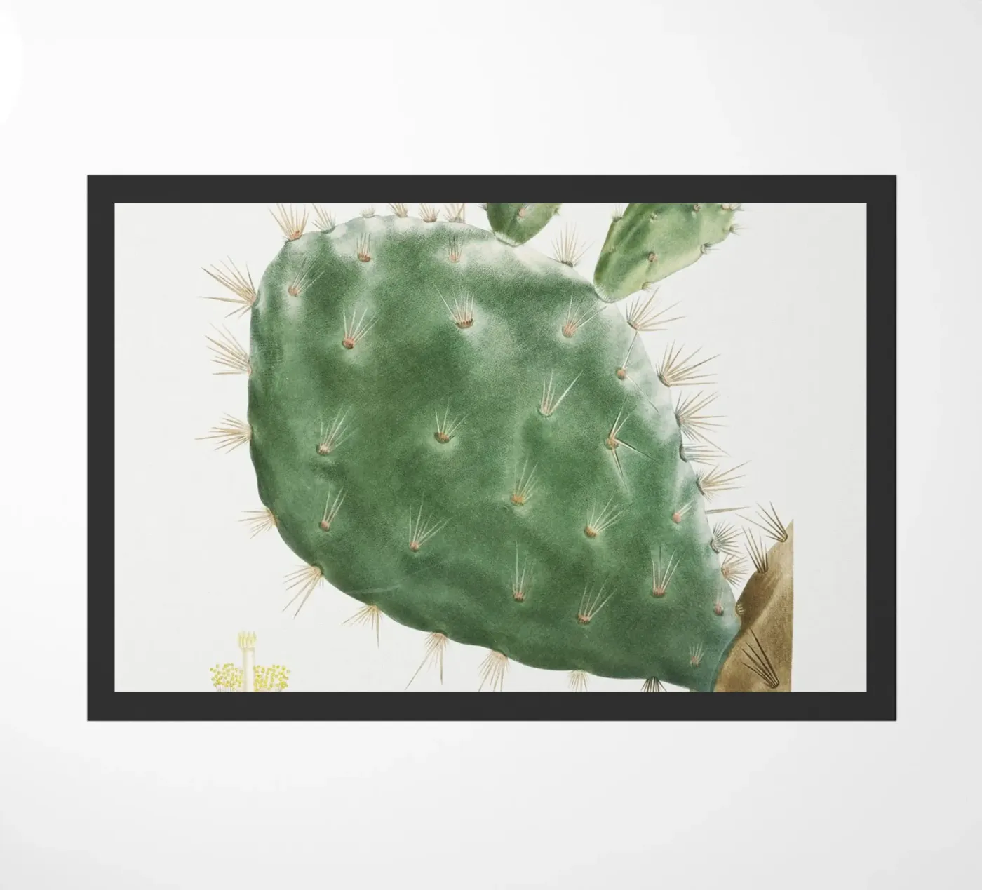 Cactus Cochenillifer deurmat van vintageshop