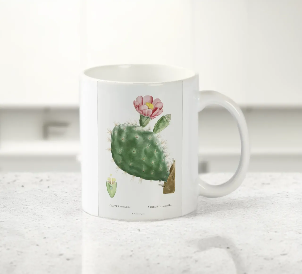 Cactus Cochenillifer tazza in ceramica da vintageshop