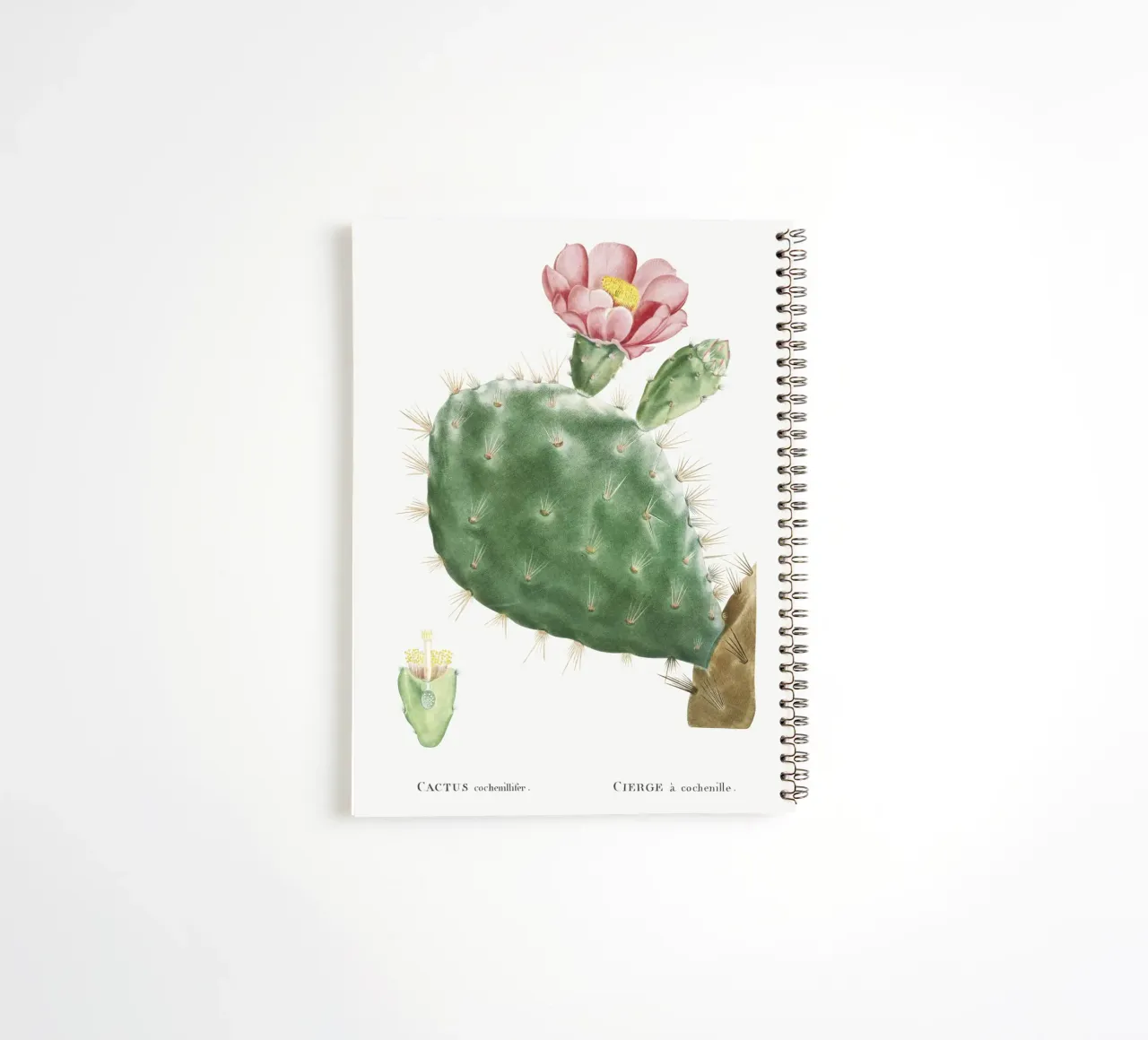 Cactus Cochenillifer spiral notebook by vintageshop