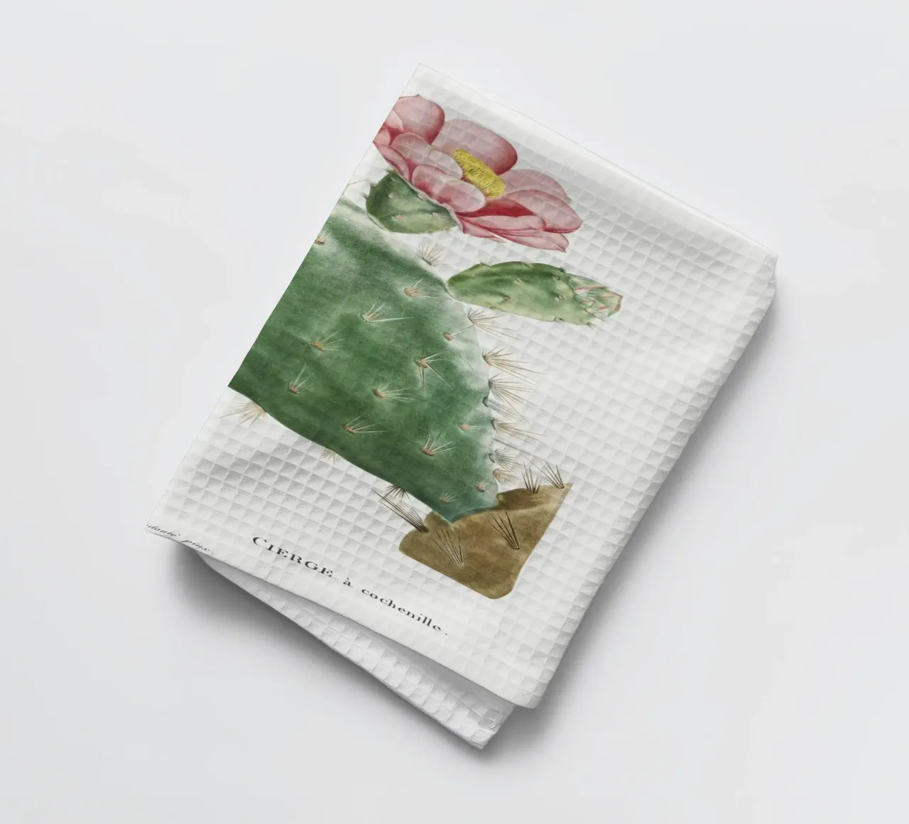 Cactus Cochenillifer canovaccio da cucina da vintageshop