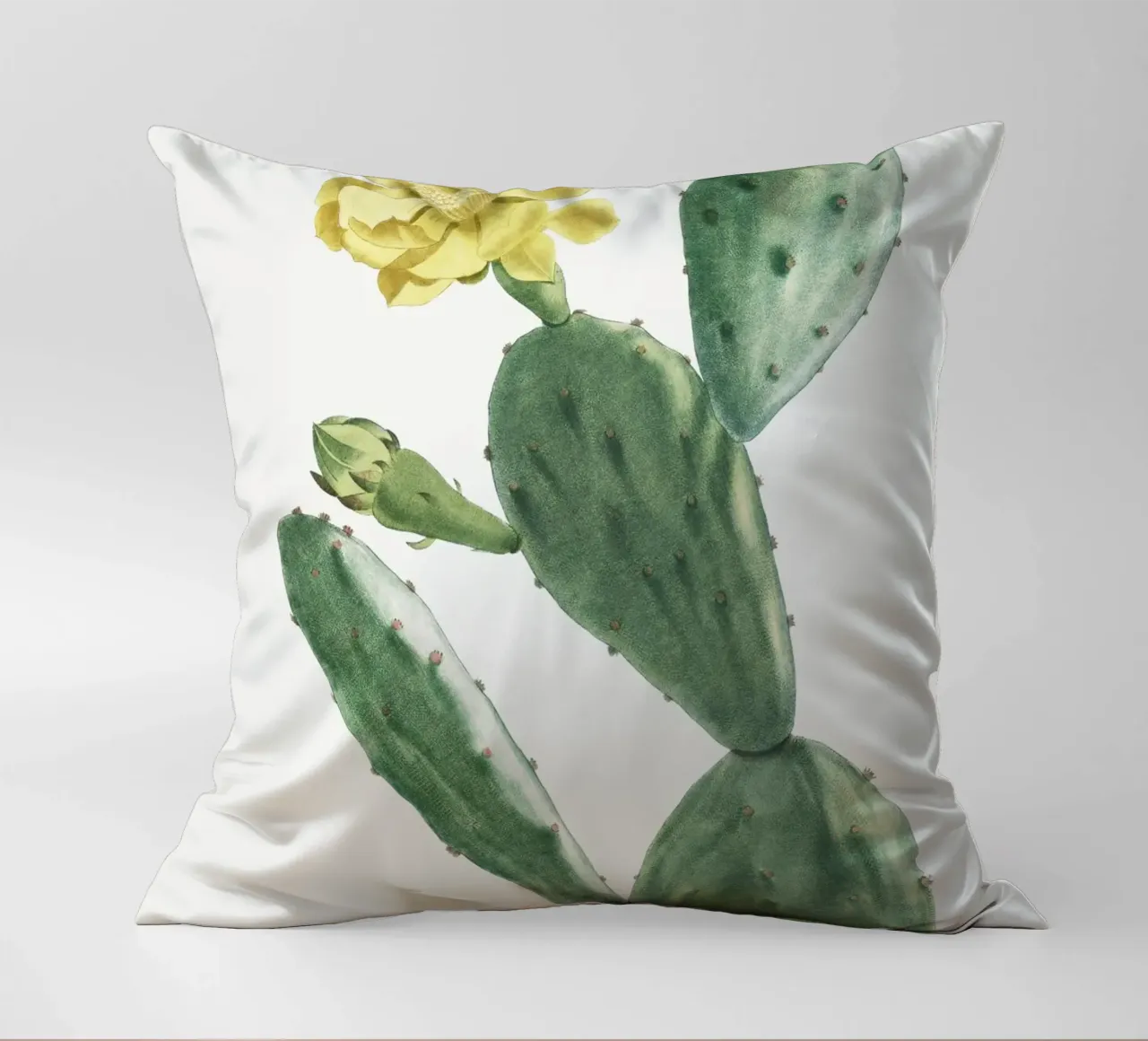 Cactus Opuntia Inermis cuscino da vintageshop