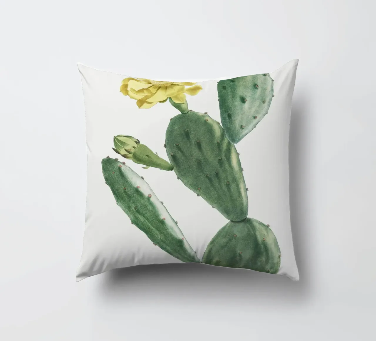 Cactus Opuntia Inermis cuscino da vintageshop