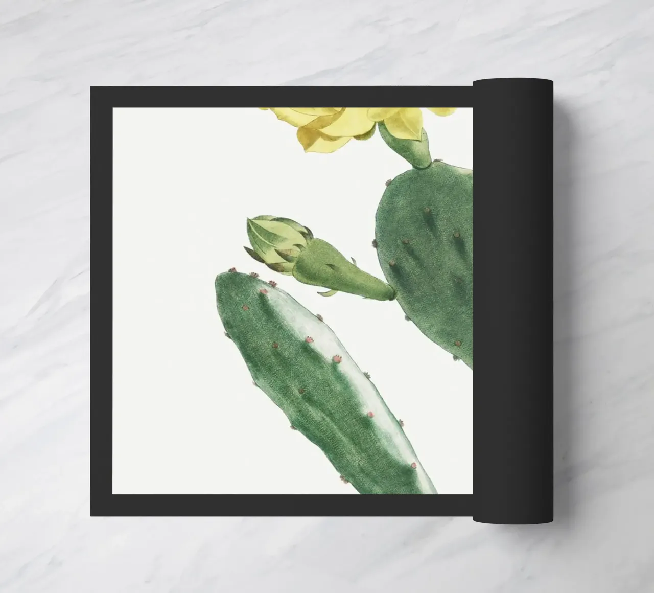 Cactus Opuntia Inermis zerbino da vintageshop