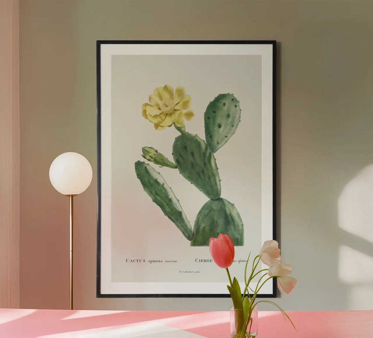 Cactus Opuntia Inermis carta hahnemühle da vintageshop