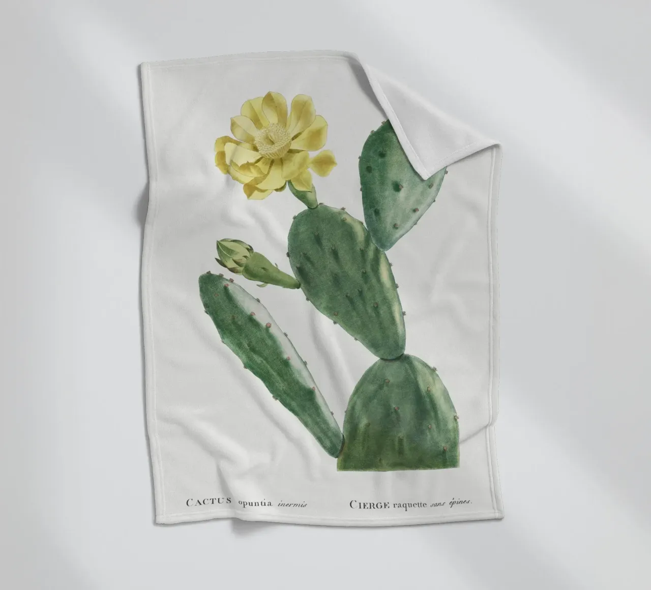 Cactus Opuntia Inermis coperta in pile da vintageshop